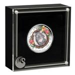 Silver Half Ounce 2021 Dreaming Down Under - Koala: Photo Coin, Australia, Silver Half Ounce 2021 Dreaming Down Under - Koala / thumbnail