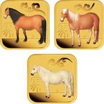 Gold Tenth-Ounce 2014 Year of the Horse - Square: Photo Coin, Australia, Gold Tenth-Ounce 2014 Year of the Horse - Square / thumbnail