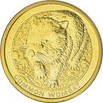 One Dollar 2008 Common Wombat: Photo Coin, Australia, One Dollar 2008 Common Wombat / thumbnail