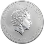 Australia / Silver Five Ounces 2013 Year of the Snake, Perth Mint / Coloured Reverse - obverse photo
