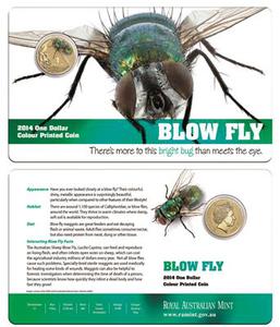 Australia / One Dollar 2014 Blow Fly - obverse photo