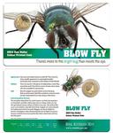 One Dollar 2014 Blow Fly: Photo Coin, Australia, One Dollar 2014 Blow Fly / thumbnail