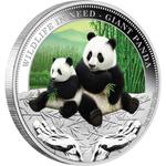 Silver Ounce 2011 Giant Panda: Photo Coin, Australia, Silver Ounce 2011 Giant Panda / thumbnail