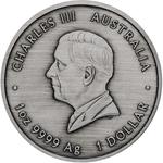Australia / Silver Ounce 2025 Pillar Dollar / Antique - obverse photo
