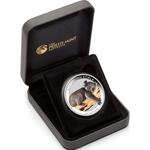 Silver Ounce 2012 Australian Koala Coloured: Photo Coin, Australia, Silver Ounce 2012 Australian Koala Coloured / thumbnail