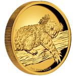Gold Ounce 2012 Australian Koala, High Relief: Photo Coin, Australia, Gold Ounce 2012 Australian Koala, High Relief / thumbnail