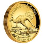 Gold Ounce 2015 Australian Kangaroo, High Relief: Photo Coin, Australia, Gold Ounce 2015 Australian Kangaroo / thumbnail