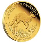 Gold Half Ounce 2017 Australian Kangaroo: Photo Coin, Australia, Gold Half Ounce 2017 Australian Kangaroo / thumbnail