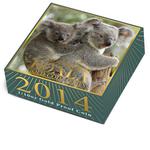 Gold Tenth-Ounce 2014 Australian Koala: Photo Coin, Australia, Gold Tenth-Ounce 2014 Australian Koala / thumbnail