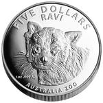 Silver Ounce 2018 Australia Zoo - Red Panda - High Relief: Photo Coin, Australia, Silver Ounce 2018 Australia Zoo - Red Panda High Relief / thumbnail