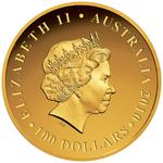 Gold Ounce 2010 Australian Koala, High Relief: Photo Coin, Australia, Gold Ounce 2010 Australian Koala / thumbnail