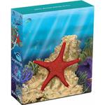 Silver Half Ounce 2011 Starfish: Photo Coin, Australia, Silver Half Ounce 2011 Starfish / thumbnail