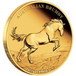Gold Ounce 2022 Australian Brumby: Photo Coin, Australia, Gold Ounce 2022 Australian Brumby / thumbnail