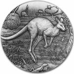 Silver Two Ounces 2016 Australian Kangaroo: Photo 2016-P Australia 2 oz Silver HR Kangaroo (Antiqued) / thumbnail