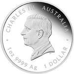Australia / Silver Ounce 2025 Pillar Dollar / Proof - obverse photo