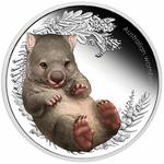 Silver Half Ounce 2013 Bush Babies - Wombat: Photo Coin, Australia, Silver Half Ounce 2013 Bush Babies - Wombat / thumbnail