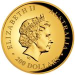 Gold Two Ounces 2013 Australian Koala: Photo Coin, Australia, Gold Two Ounces 2013 Australian Koala / thumbnail