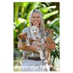 Silver Ounce 2017 Australia Zoo - Alpine Dingo: Photo Coin, Australia, Silver Ounce 2017 Australia Zoo - Alpine Dingo / thumbnail