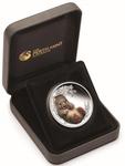 Silver Half Ounce 2013 Bush Babies - Wombat: Photo Coin, Australia, Silver Half Ounce 2013 Bush Babies - Wombat / thumbnail