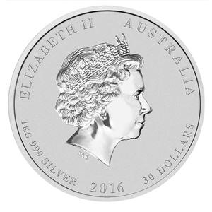 Australia / Silver Kilo 2016 Year of the Monkey, Coloured - obverse photo
