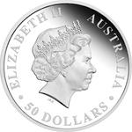 Platinum Half Ounce 2013 Australian Koala: Photo Coin, Australia, Platinum Half Ounce 2013 Australian Koala / thumbnail