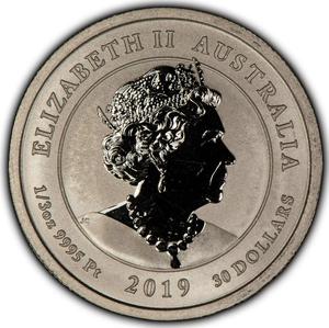 Australia / Platinum Third-Ounce 2019 Bottlenose Dolphin - obverse photo