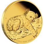 Gold Two Ounces 2012 Australian Koala: Photo Coin, Australia, Gold Two Ounces 2012 Australian Koala / thumbnail