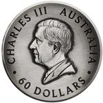 Australia / Silver Two Kilos 2024 Honey Bee - obverse photo