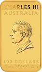 Gold Ounce 2025 Dragon Rectangle: Photo Coin, Australia, Gold Ounce 2025 Dragon Rectangle / thumbnail