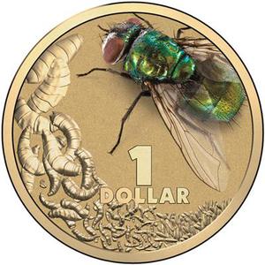 Australia / One Dollar 2014 Blow Fly - reverse photo