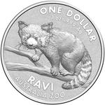Silver Ounce 2018 Australia Zoo - Red Panda: Photo Coin, Australia, Silver Ounce 2018 Australia Zoo - Red Panda / thumbnail