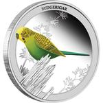 Silver Half Ounce 2013 Budgerigar: Photo Coin, Australia, Silver Half Ounce 2013 Budgerigar / thumbnail