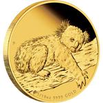 Gold Two Ounces 2012 Australian Koala: Photo Coin, Australia, Gold Two Ounces 2012 Australian Koala / thumbnail