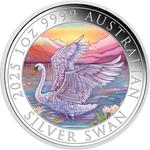 Australia / Silver Ounce 2025 Australian Swan / Coloured Reverse - reverse photo