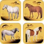 Gold Tenth-Ounce 2014 Year of the Horse - Square: Photo Coin, Australia, Gold Tenth-Ounce 2014 Year of the Horse - Square / thumbnail