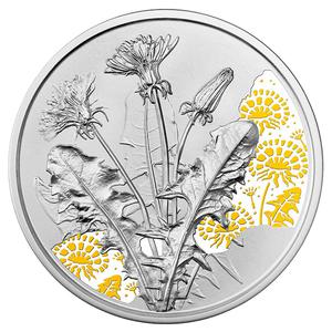 Austria / Silver Half Ounce 2022 Language of Flowers - Dandelion - reverse photo