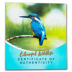Silver Kilo 2021 Kingfisher: Photo Coin, Barbados, Silver Kilo 2021 Kingfisher / thumbnail
