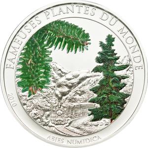Benin / One Hundred Francs 2010 Abies Numidica - reverse photo