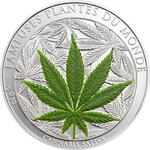 Silver Ounce 2010 Cannabis Sativa: Photo Cannabis Sativa AG / thumbnail