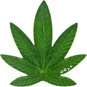 Benin / One Hundred Francs 2011 Cannabis Sativa - reverse photo