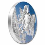 Silver Three Ounces 2022 Urban Hunters: Falcon: Photo Coin, Benin, Silver Three Ounces 2022 Urban Hunters: Falcon / thumbnail