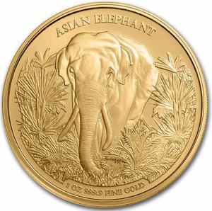 Cambodia / Gold Ounce 2023 Asia Big Five - Asian Elephant - reverse photo