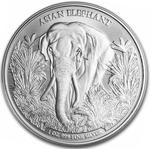 Cambodia / Silver Ounce 2023 Asia Big Five - Asian Elephant - reverse photo