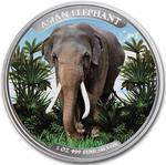 Cambodia / Silver Ounce 2023 Asia Big Five - Asian Elephant / Coloured Reverse - reverse photo