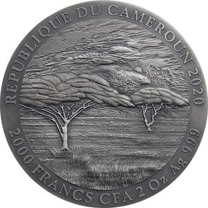 Cameroon / Silver Two Ounces 2020 Panthera Leo - obverse photo
