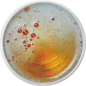Cameroon / Silver Ounce 2022 Pilsner Beer - reverse photo