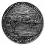 Silver Two Ounces 2023 Black Rhino: Photo Coin, Cameroon, Silver Two Ounces 2023 Black Rhino / thumbnail