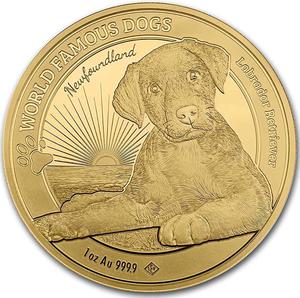 Cameroon / Gold Ounce 2023 World Famous Dogs - Labrador Retriever - reverse photo