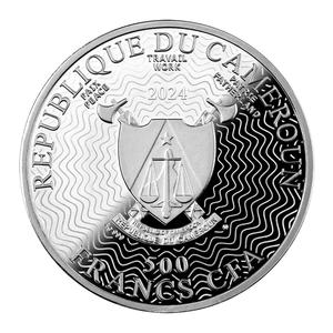 Cameroon / Five Hundred Francs Silver 2024 NGC 4945 Galaxy - obverse photo