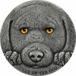Silver Three Ounces 2018 Year of the Dog: Photo Coin, Cameroon, Silver Three Ounces 2018 Year of the Dog / thumbnail